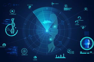 为什么说现在是计算机视觉最好的时代 人工智能基础软件开发的视角